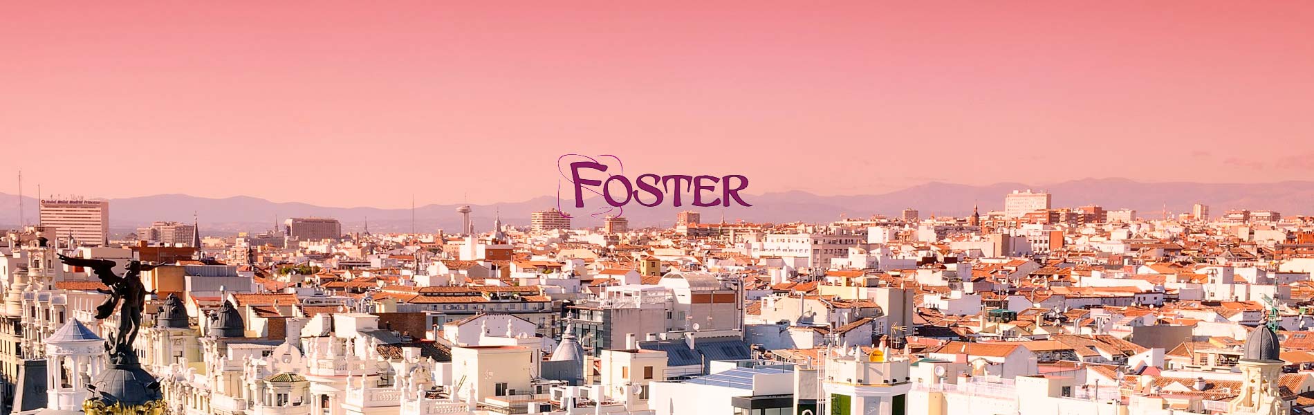 Portfolio Single Banner